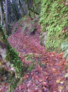 11.27.05 Nesmith Point 024 